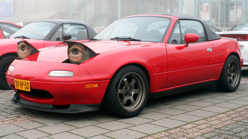 Illustration for article titled Cars With Steve Buscemi's Eyes
